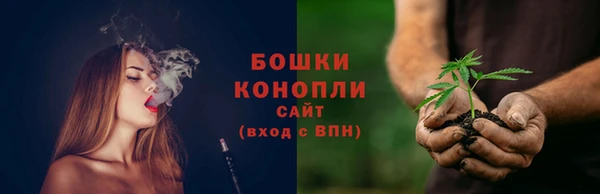 ПСИЛОЦИБИНОВЫЕ ГРИБЫ Осташков