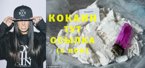 ПСИЛОЦИБИНОВЫЕ ГРИБЫ Осташков
