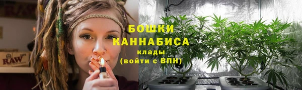 ПСИЛОЦИБИНОВЫЕ ГРИБЫ Осташков